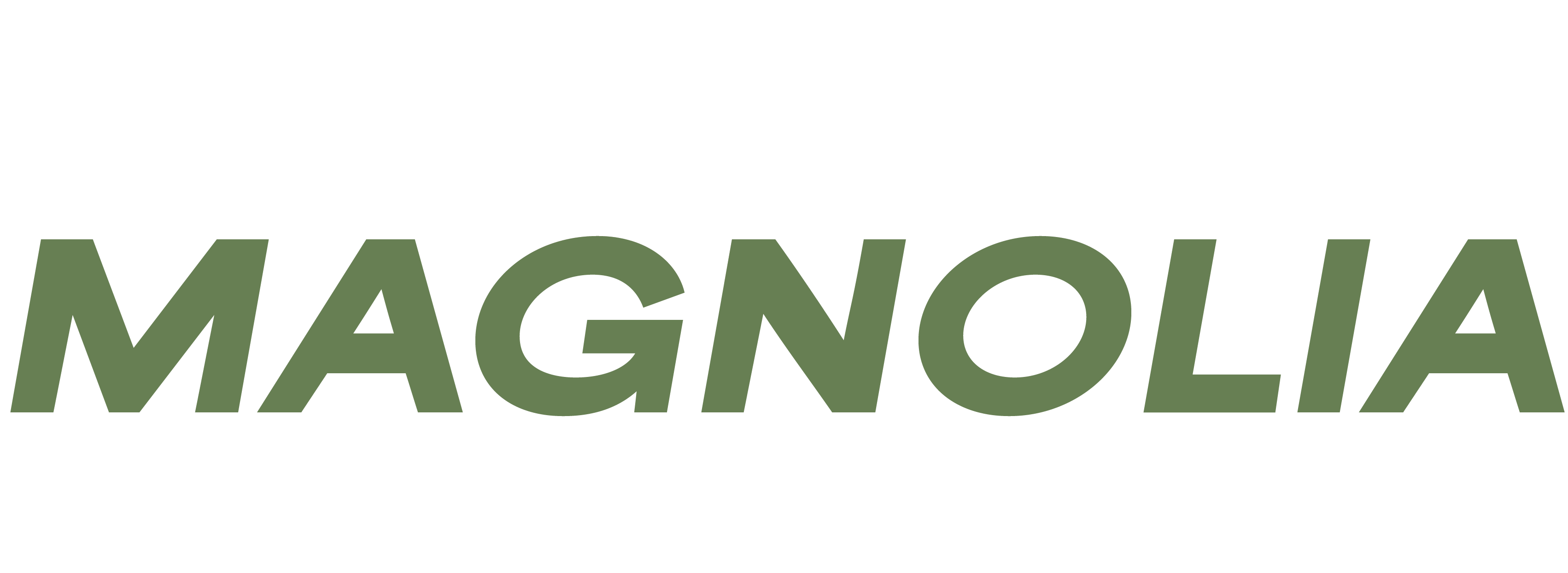 Magnolia Auto Glass Repair